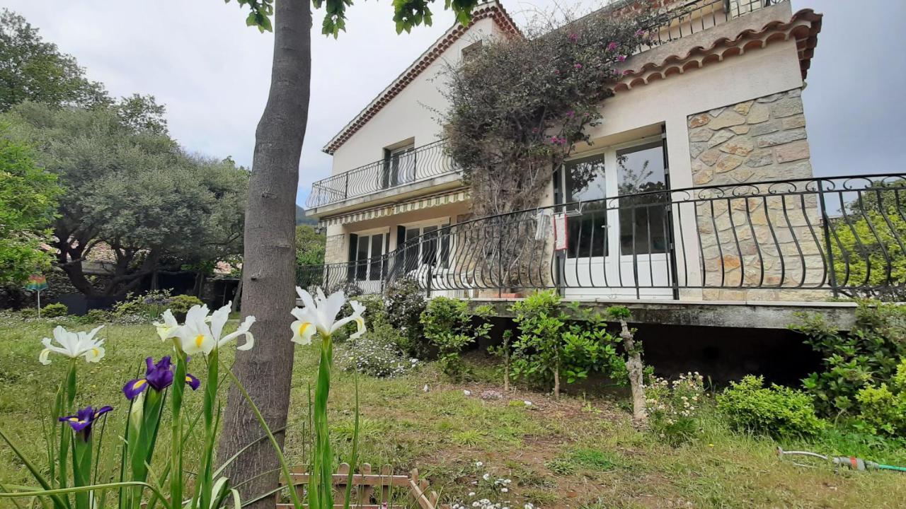 Maison Lumineuse Et Spacieuse Avec Jardin Arbore La Valette-du-Var Eksteriør bilde