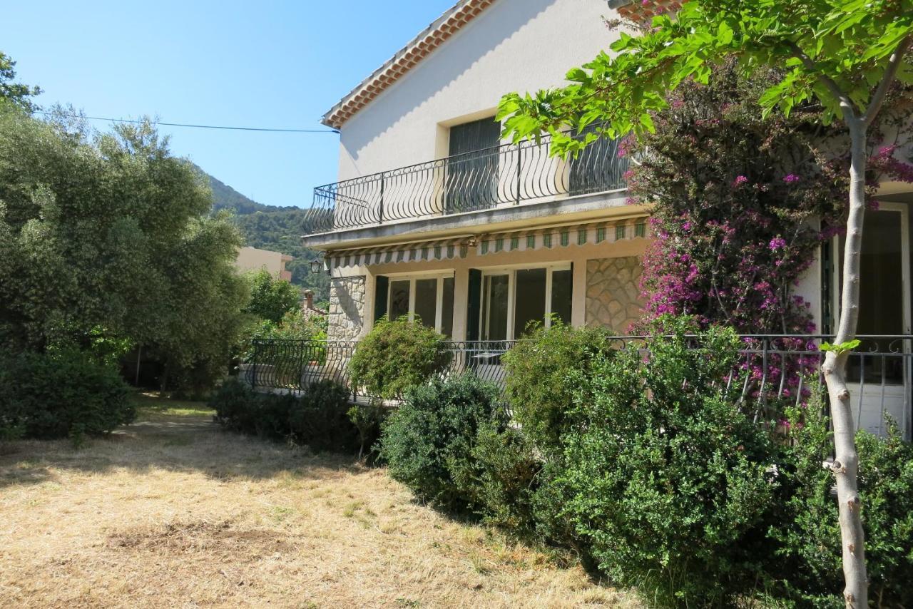 Maison Lumineuse Et Spacieuse Avec Jardin Arbore La Valette-du-Var Eksteriør bilde